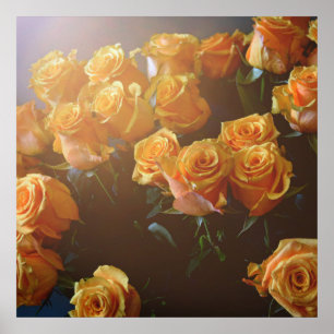 Póster Rosas amarillas