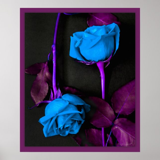 Póster Rosas azules Imprimir -20x24 -otros tamaños dispon (Frente)