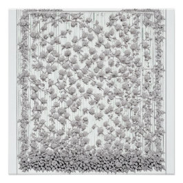 Póster Rosas blancas A