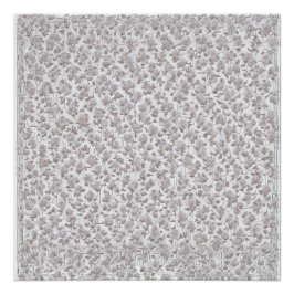 Póster Rosas blancas D