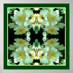 Póster Rosas Blancas Silvestres Artísticas Abstractas 