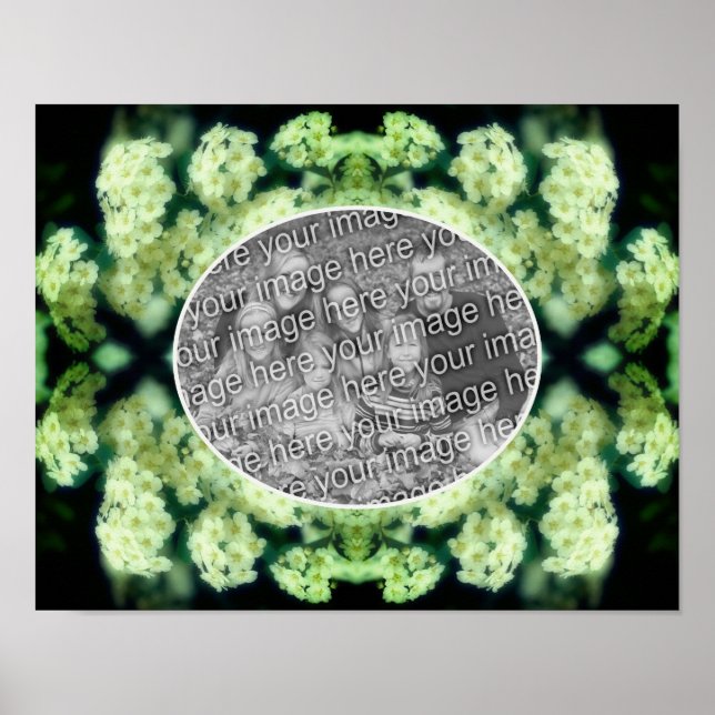 Póster Rosas Blancas Silvestres y Exuberantes Crea Tu Pro (Frente)