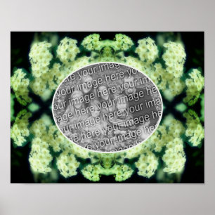 Póster Rosas Blancas Silvestres y Lujuriosas Crea Tu Prop