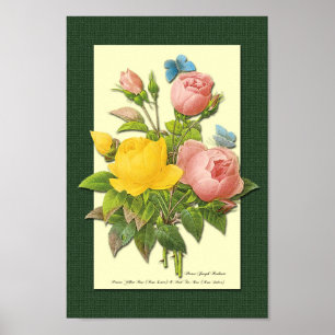Póster Rosas botánicos rosados y amarillos en Poster verd