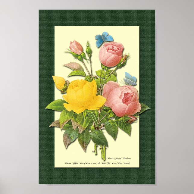 Póster Rosas botánicos rosados y amarillos en Poster verd (Frente)