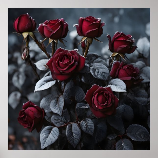 Póster rosas burdeos con hojas negras cubiertas de fríos (Frente)