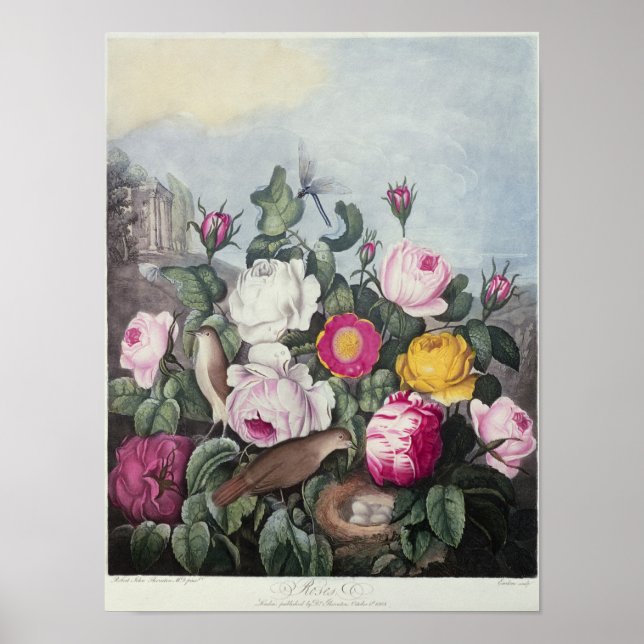 Póster Rosas de 'El templo de la flora' (Frente)