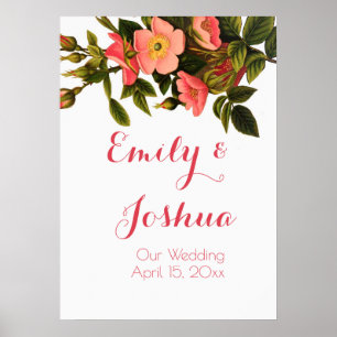 Póster Rosas de época bello botánico rosado