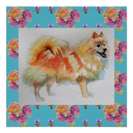 Póster Rosas de perro de Spitz Pomerania alemanes imprime