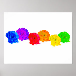Póster Rosas del arcoiris