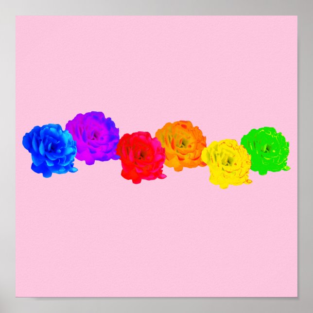 Póster Rosas del arcoiris (Frente)