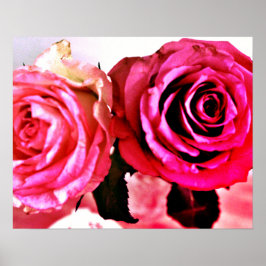Póster Rosas en auge