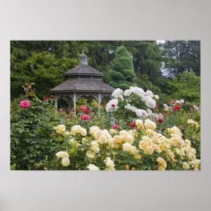 Póster Rosas en el Jardín de los Rosas de Gazebo y en flo