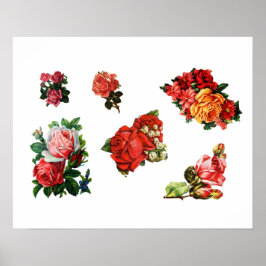 Póster Rosas en flor
