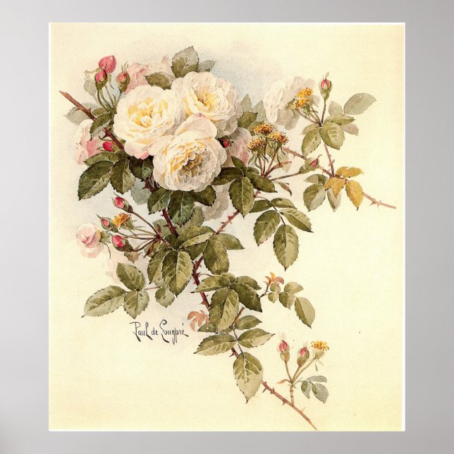 Póster Rosas guineveres de Paul De Longpré (Frente)
