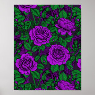 Póster Rosas morados