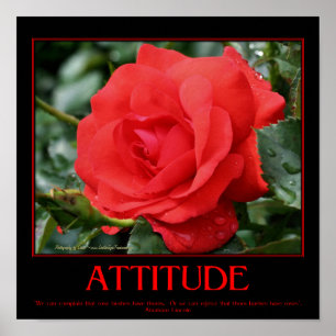 Póster Rosas Rojas Espinas Frase de Actitud Inspiradora