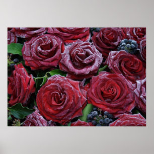 Póster Rosas Rojas Oscuras Congeladas En Una Tumba