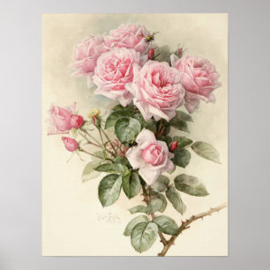 Póster Rosas románticos de Victoria