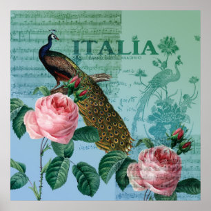 Póster Rosas románticos pavo real