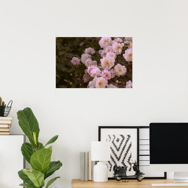 Póster Rosas románticos rosados (Oficina en casa)