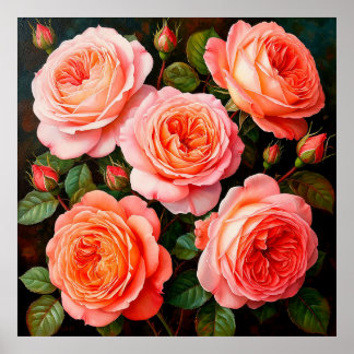 Póster Rosas rosadas vibrantes en plena floración