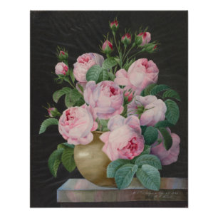 Póster Rosas rosas rosas en una vesícula - Pierre Joseph 