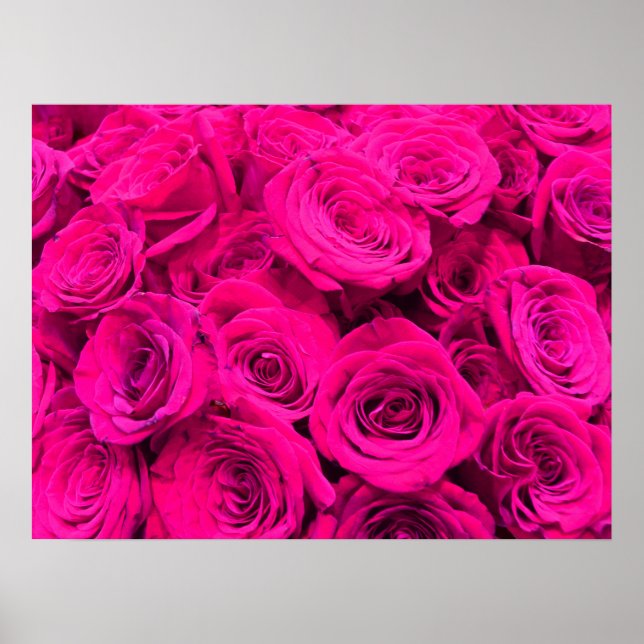 Póster Rosas rosas rosas flores rosas rosadas florales ro (Frente)