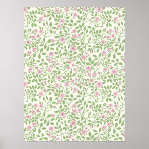 Póster Rosas silvestres