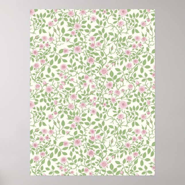 Póster Rosas silvestres  (Frente)