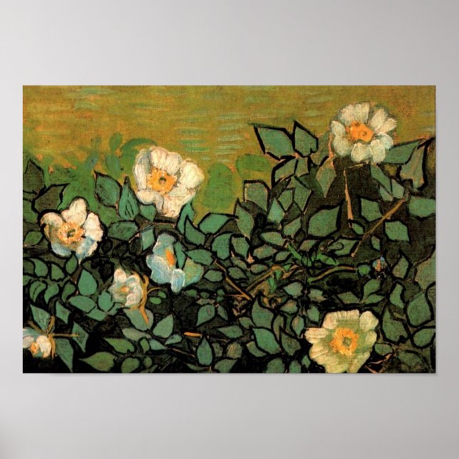 Póster Rosas silvestres (F597) Bella Artes Van Gogh (Frente)