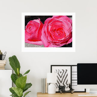 Póster Rosas Trepadoras Rosadas