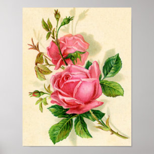 Póster rosas vintage