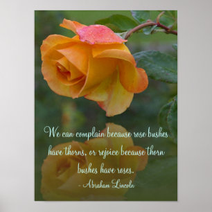 Póster Rosas y poster inspirador de las espinas