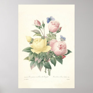 Póster Rose du Bengale Canvas Print
