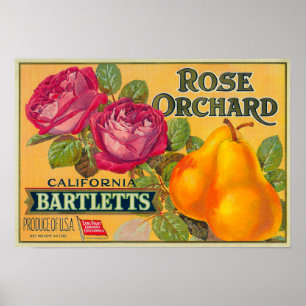 Póster Rose Orchard Pear Crate Label