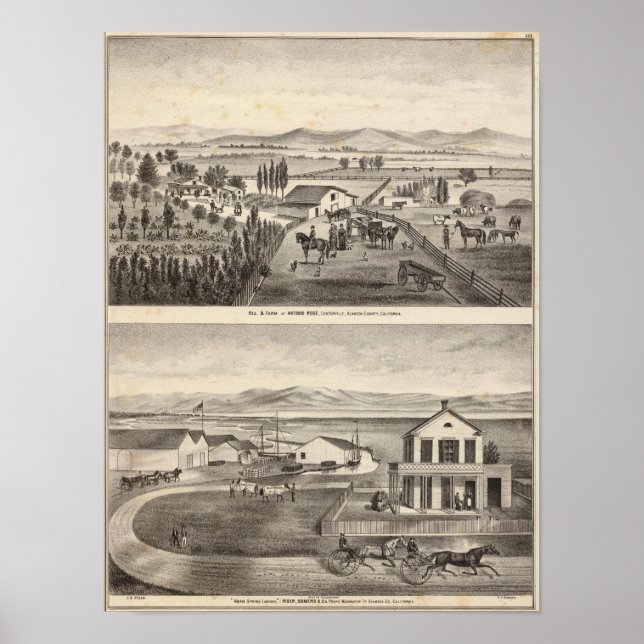 Póster Rose res, Warm Spring Landing (Frente)