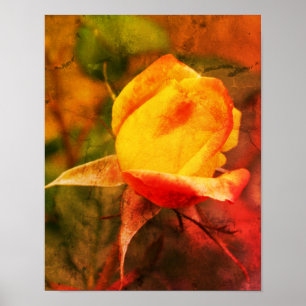 Póster Rosebud Amarillo Con Destacados Rojos Molestos Art