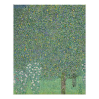 Rosebushes bajo los árboles - Gustav Klimt