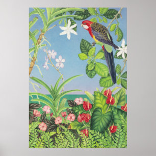 Póster Rosella del este