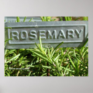 Póster Rosemario