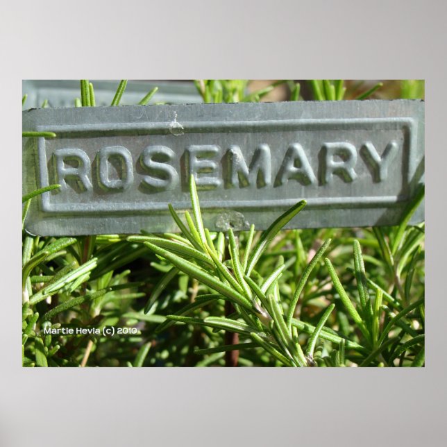 Póster Rosemario (Frente)