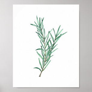Póster Rosemario