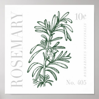 Póster Rosemario de Vintage