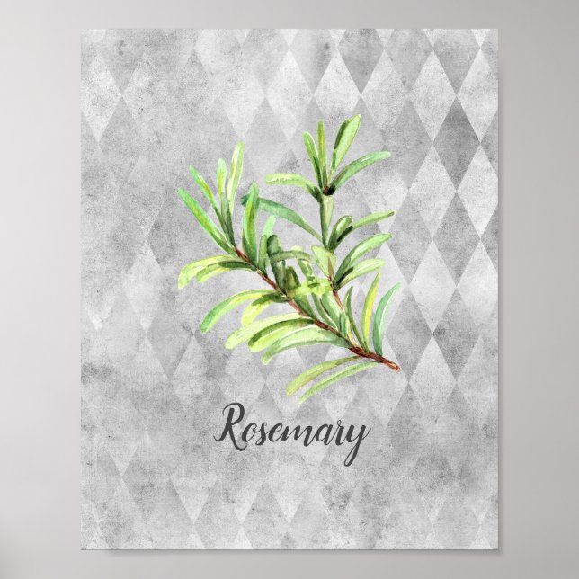 Póster Rosemary Herb Watercolor (Frente)