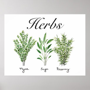Póster Rosemary Thyme Sage Herbs Cocina Culinaria Chef