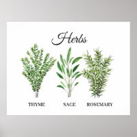 Rosemary Thyme Sage Herbs Cocina Culinaria Chef