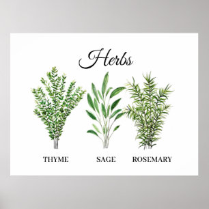Póster Rosemary Thyme Sage Herbs Cocina Culinaria Chef