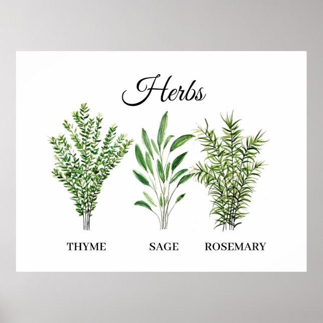 Póster Rosemary Thyme Sage Herbs Cocina Culinaria Chef (Frente)