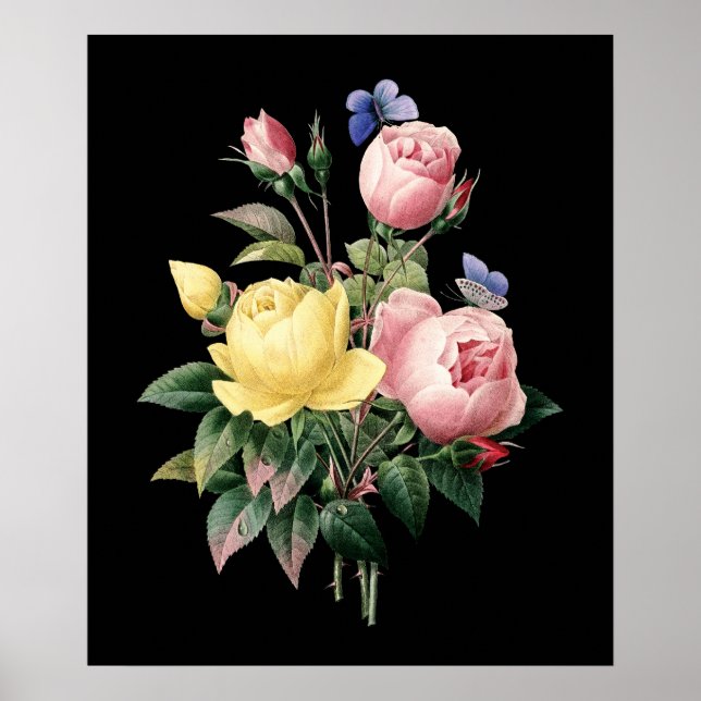 Póster Roses bouquet Redoute black dramatic background (Frente)